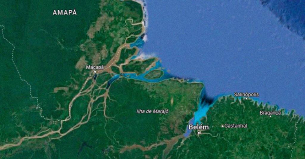 Exploração de petróleo na Foz do Amazonas é bomba para biodiversidade, alertam cientistas