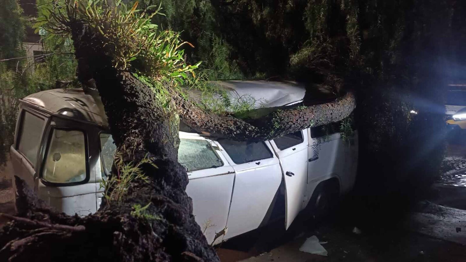 Chuva forte derruba árvores e causa danos em Ivaiporã