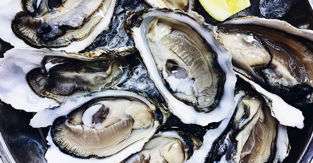Cientistas encontram arsênio e superbactérias em ostras consumidas no Brasil