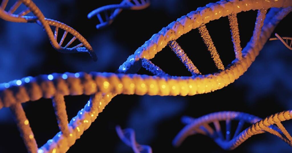 DNA viral ancião pode desempenhar um papel fundamental no desenvolvimento humano