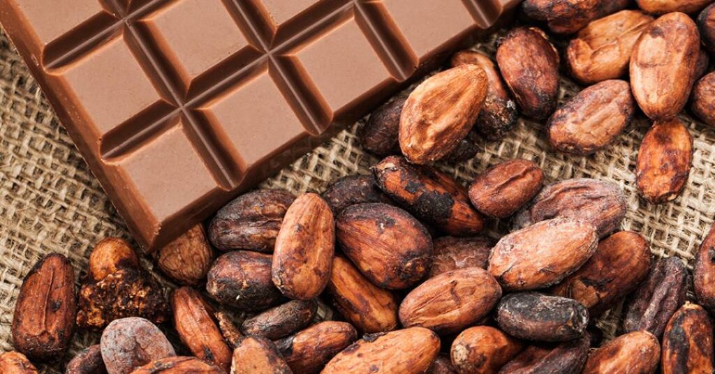 Novo estudo com microbiota do cacau pode possibilitar manipulação de sabor do chocolate