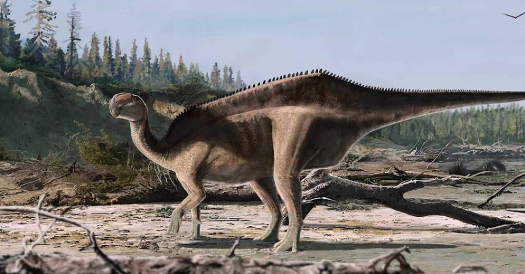 Nova espécie de dinossauro com “vela” nas costas é descoberta na Inglaterra