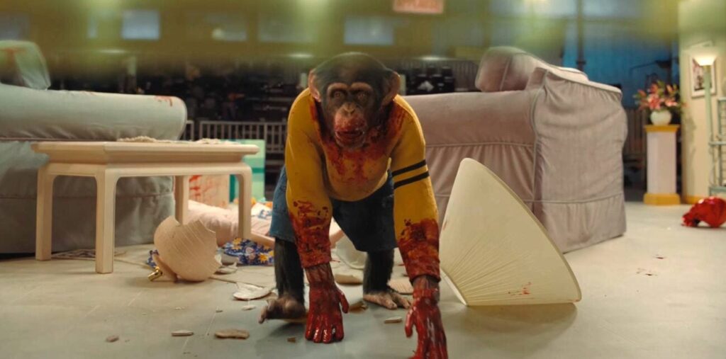 ‘Primate’: Diretor de ‘Medo Profundo’ comandará novo TERROR com chimpanzé assassino