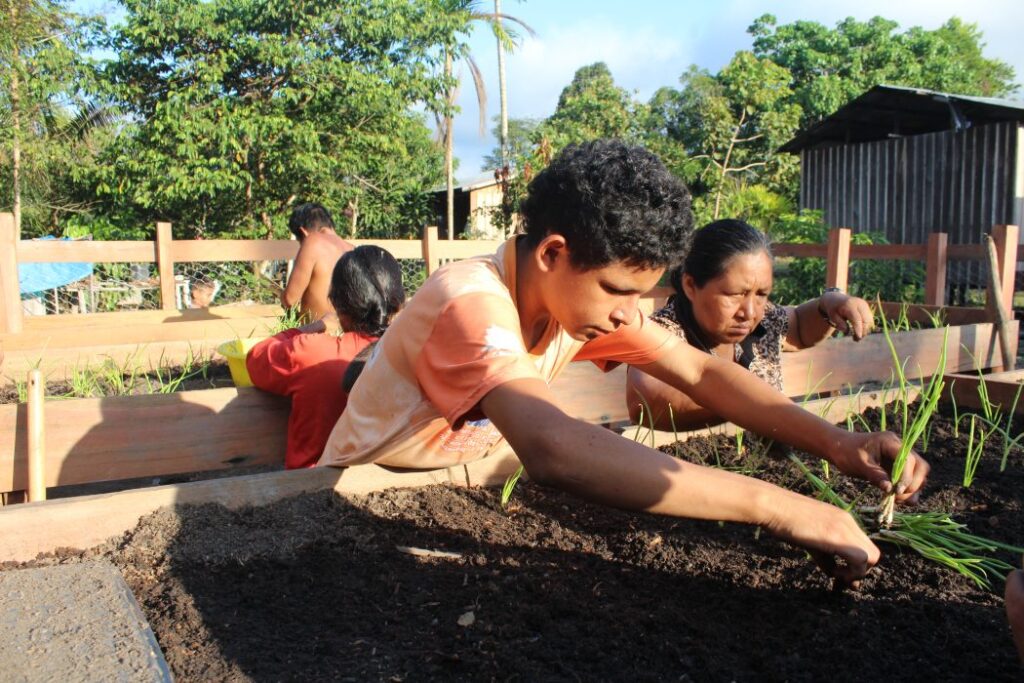 Hortas comunitárias: além de alimentos, ação concreta de enfrentamento às ameaças ao território Apurinã no Amazonas