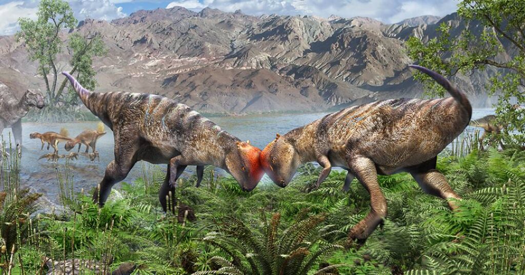 Cientistas encontram fóssil mais antigo e completo de dinossauro raro na Mongólia