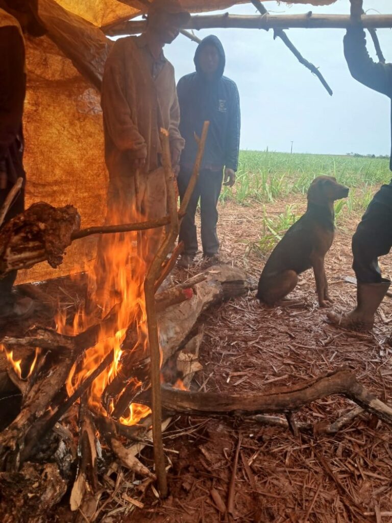 Povo Guarani e Kaiowá realiza nova retomada para recuperar território, desta vez em Porto Cambira
