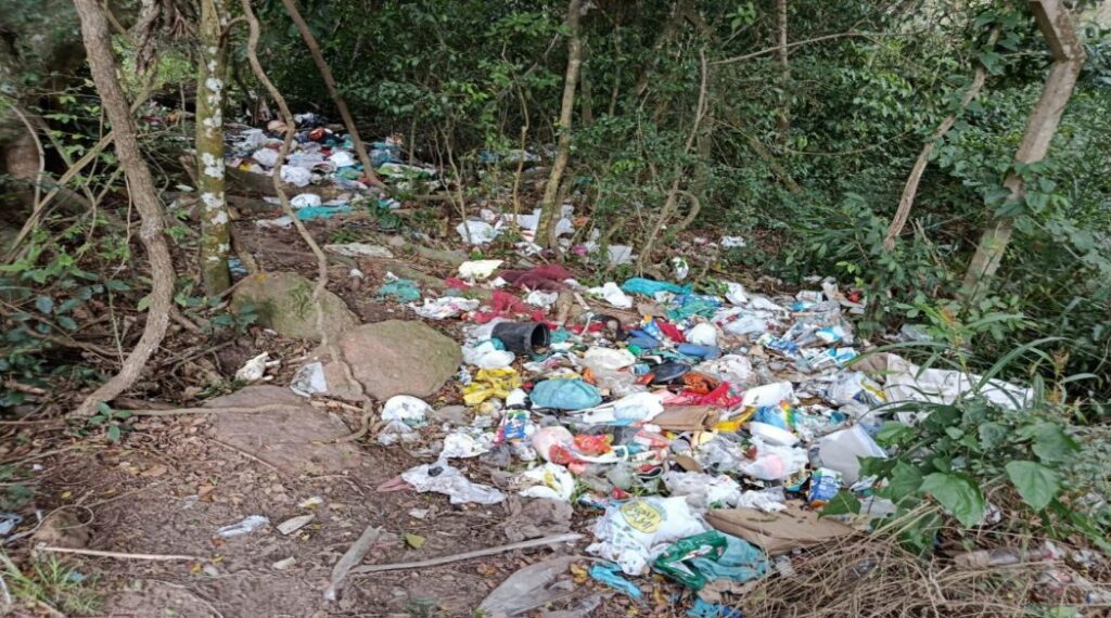 Aldeia Pindó Poty alcança justiça socioambiental: decisão judicial determina que supermercado e Município de Porto Alegre repararem dano sofrido