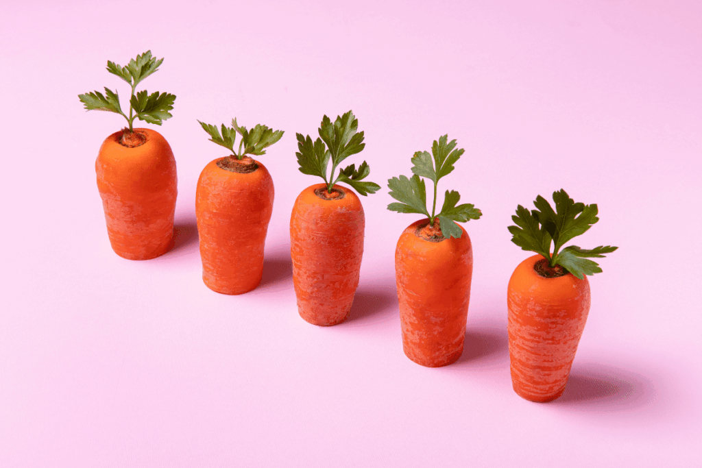 receita prática e saudável para o lanche – Pais e Filhos